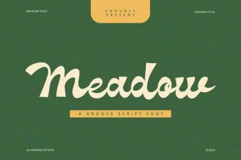 Meadow - Groove Script Font